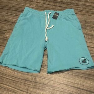 Hollister California Sweat Shorts, Size Men’s Large